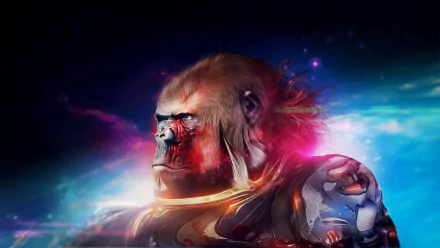Animal gorilla HD Desktop Wallpaper | Background Image