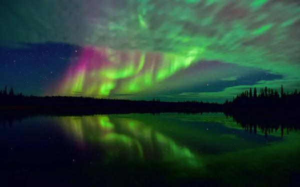 HD wallpaper of the aurora borealis reflecting in a tranquil lake surrounded by forest, showcasing vibrant green and purple lights in the night sky.