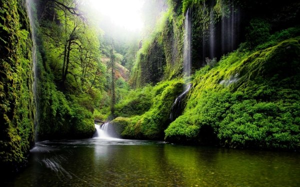 Nature Waterfall Waterfalls Forest Green Moss HD Wallpaper | Background Image