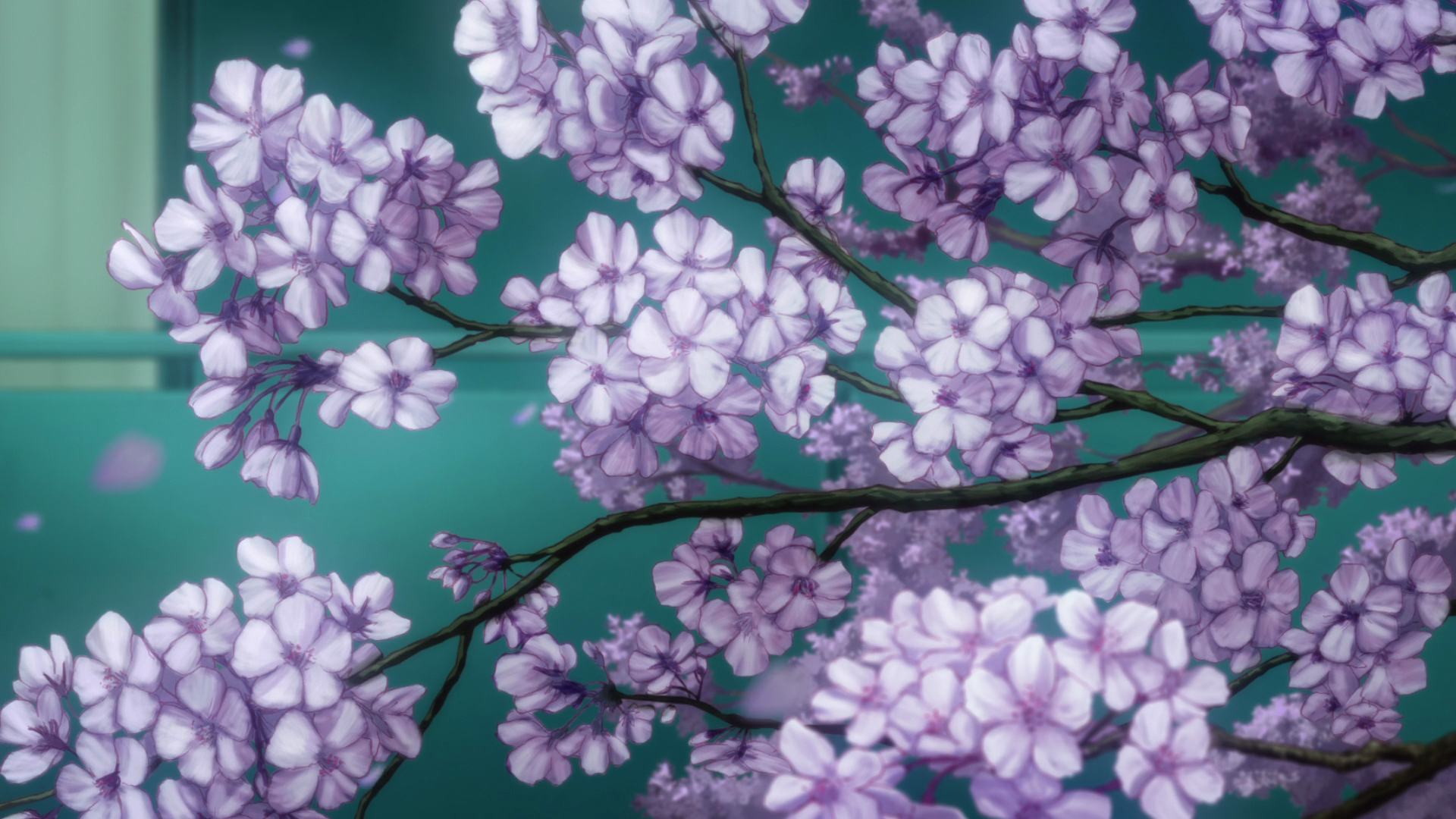 HD PC desktop wallpaper featuring delicate purple cherry blossoms inspired by the anime Love Chunibyo & Other Delusions, set against a soft green background.
