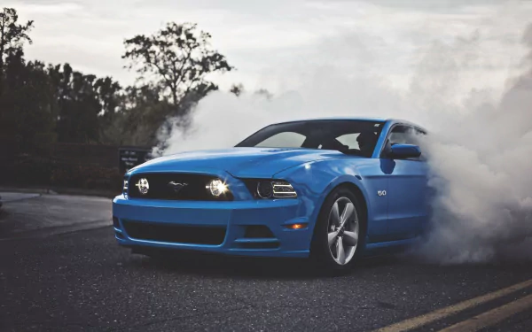 vehicle Ford Mustang Shelby GT500 HD Desktop Wallpaper | Background Image