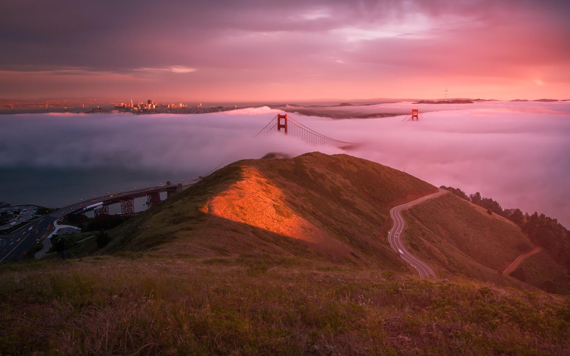 Download Nature Fog HD Wallpaper