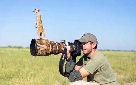 HD PC desktop wallpaper featuring a meerkat standing alert on a camera lens held by a wildlife photographer in an open grassy field under a clear blue sky.