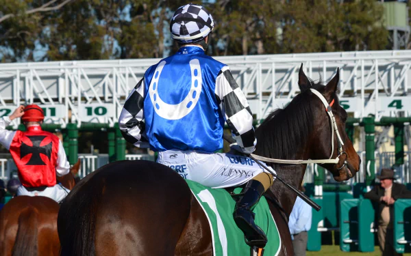 Jockeys in colorful silks mount horses at the starting gates during a horse race in Sydney, captured in this HD sports wallpaper.