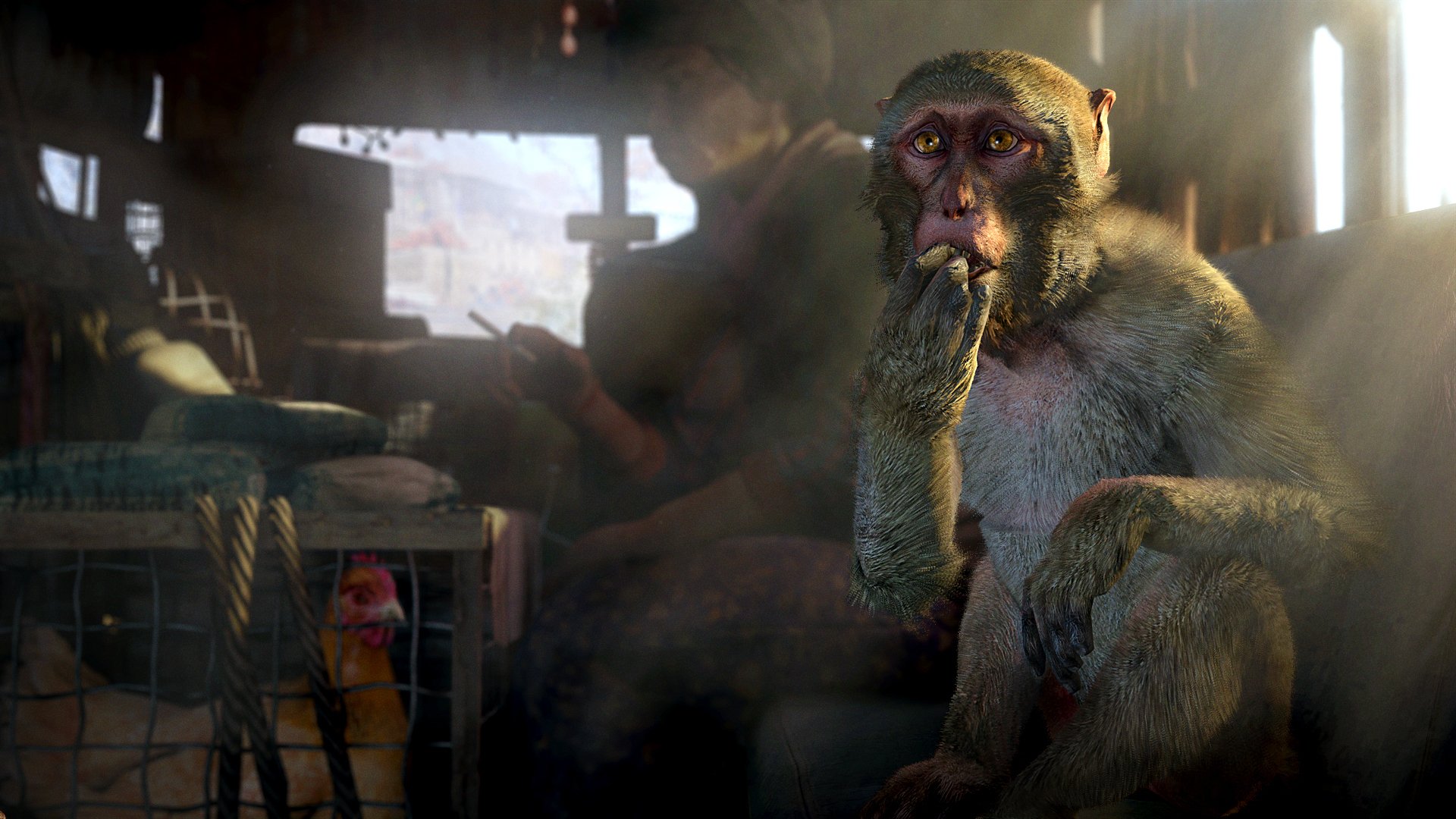 HD PC desktop wallpaper from the video game Far Cry 4, featuring a detailed close-up of a contemplative monkey in a dimly lit indoor setting.