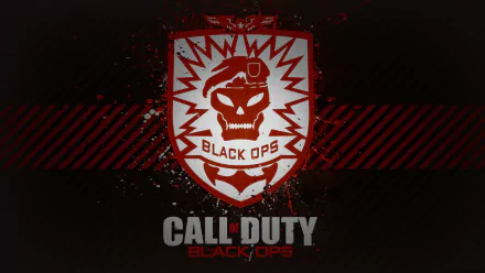 video game Call Of Duty: Black Ops HD Desktop Wallpaper | Background Image