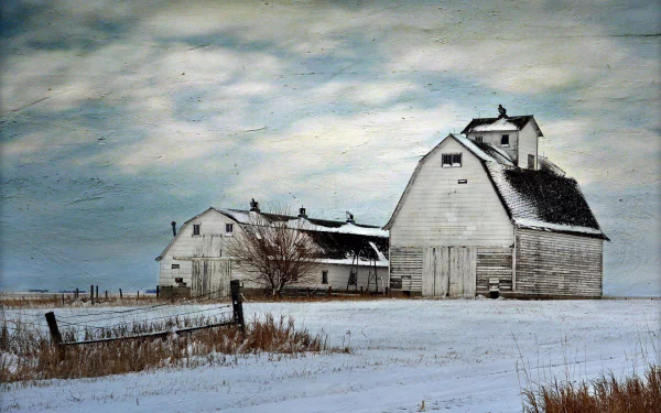  Farm in Winter