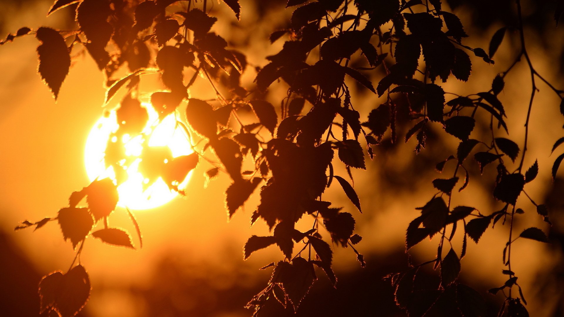 Download Nature Sunset HD Wallpaper