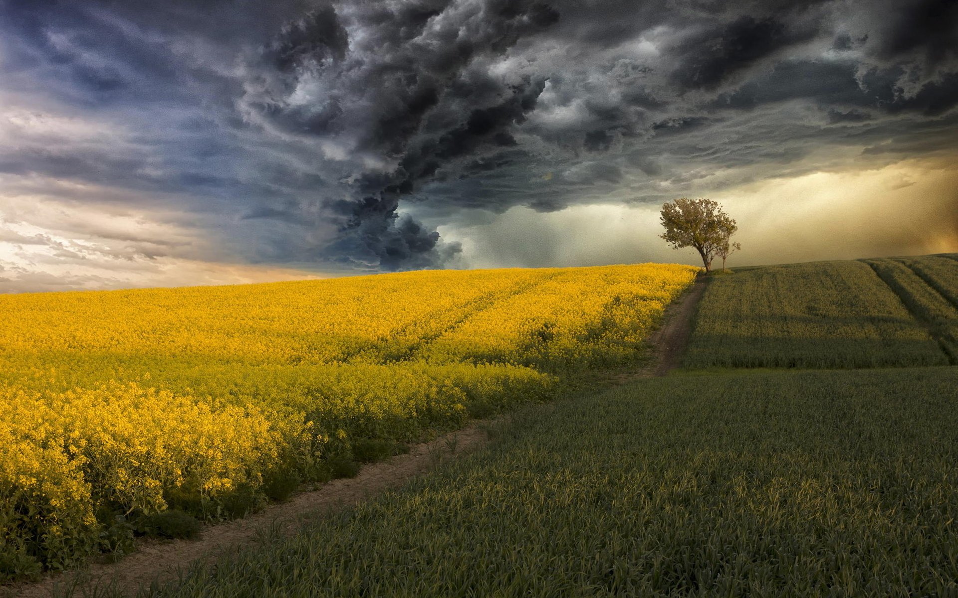 Download Nature Storm HD Wallpaper