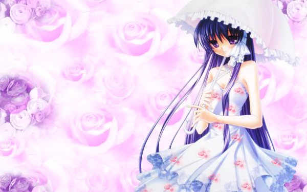 Kyou Fujibayashi Anime Clannad HD Desktop Wallpaper | Background Image