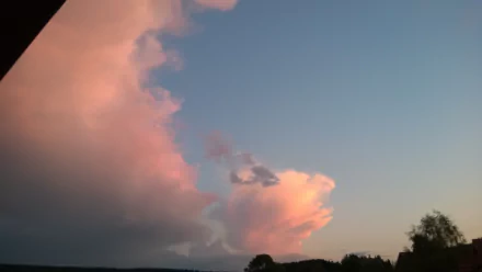  Pinky cloud