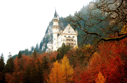 fall Bavaria Germany man made Neuschwanstein Castle HD Desktop Wallpaper | Background Image