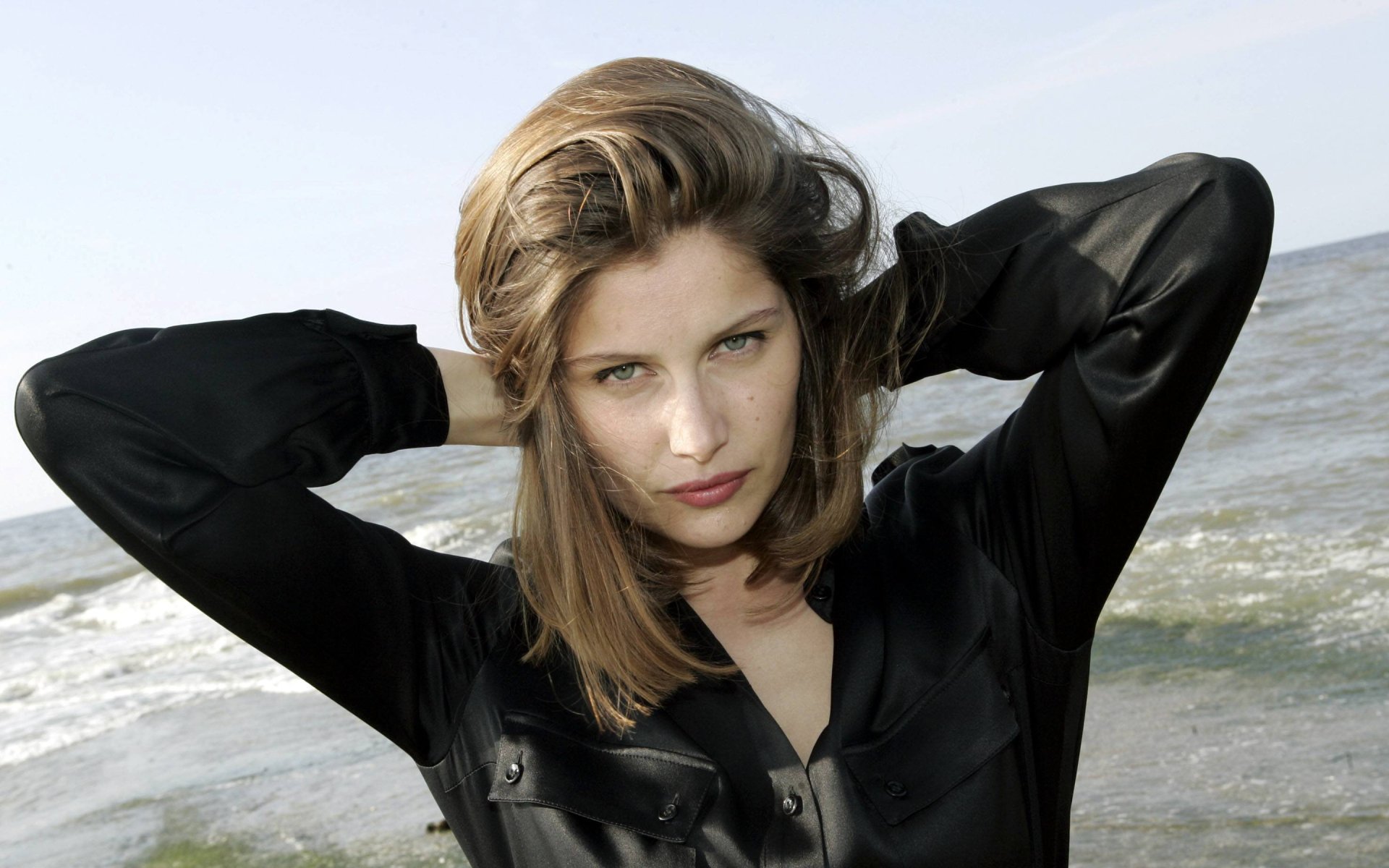 Download Model French Celebrity Laetitia Casta HD Wallpaper