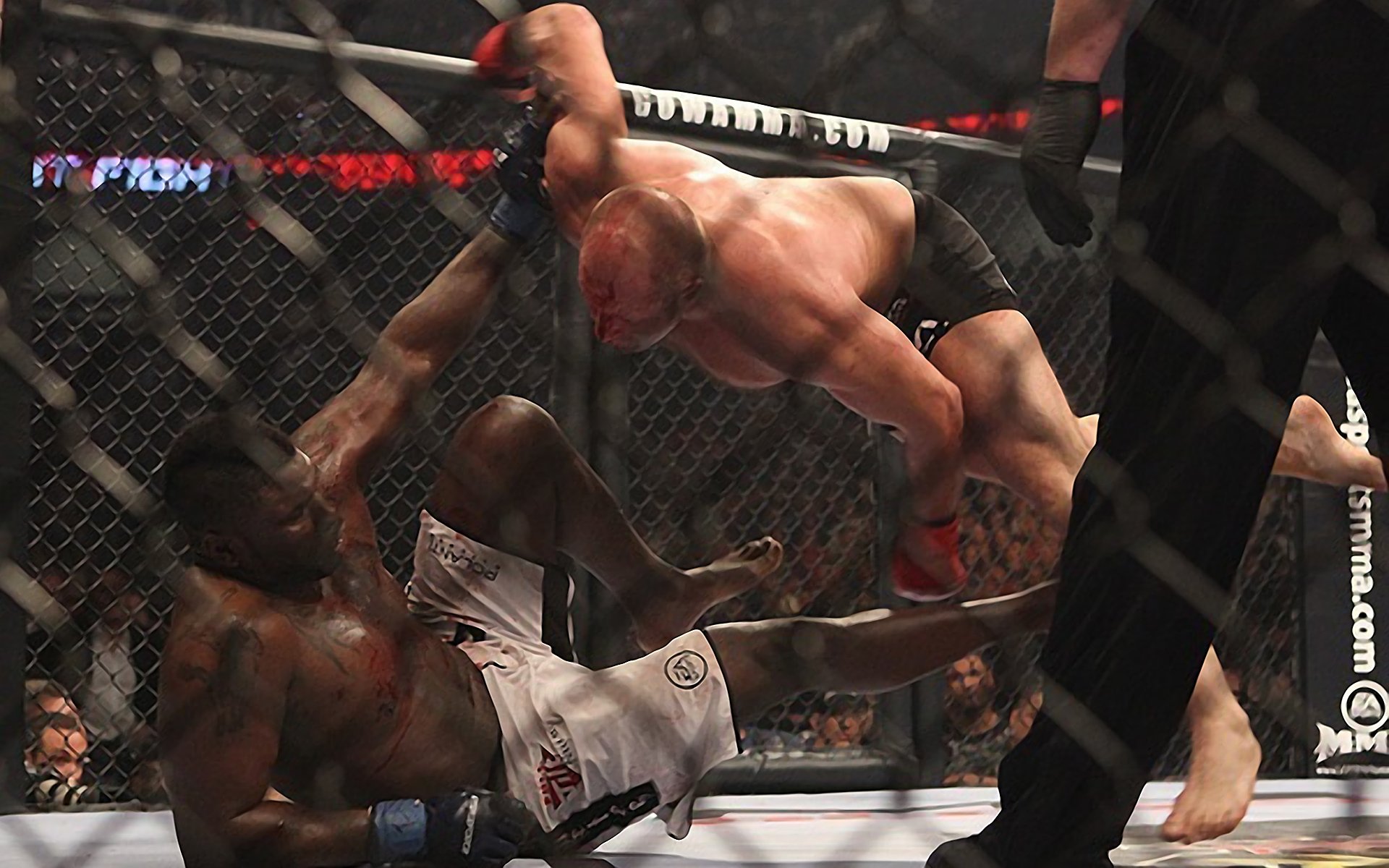 Download Fedor Emelianenko Sports HD Wallpaper