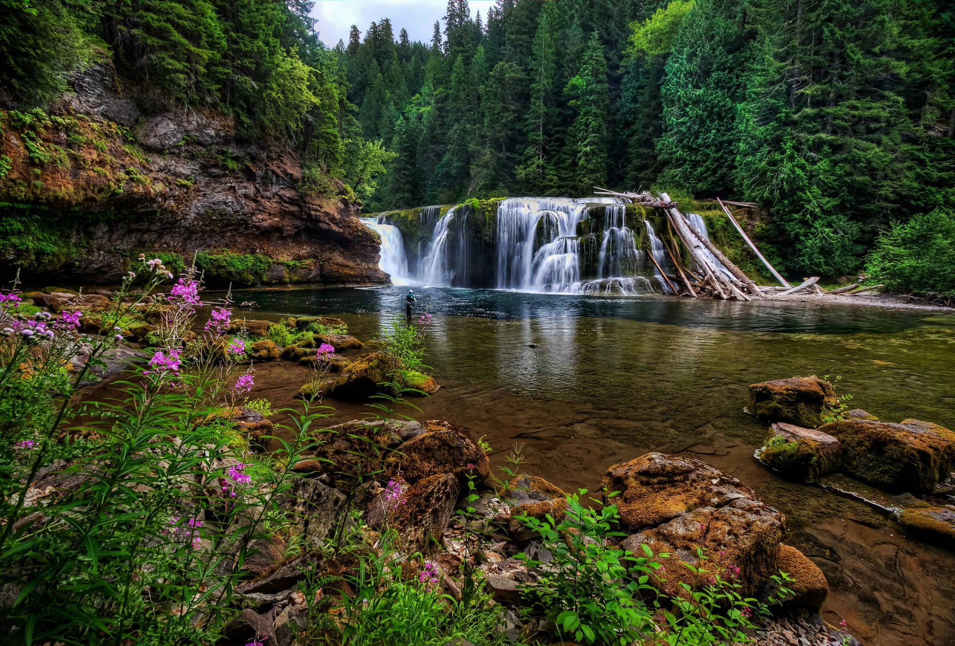 A serene forest scene featuring a cascading waterfall beside a clear river, surrounded by lush trees and vibrant flowers, capturing the essence of nature's tranquility.