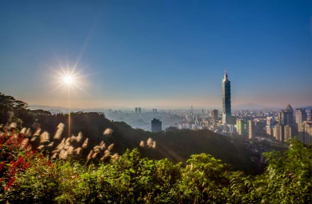 HD desktop wallpaper showcasing Taipei 101 tower rising above Taipei, Taiwan, with lush foreground and a clear sky brightened by the sun, highlighting the cityscape.