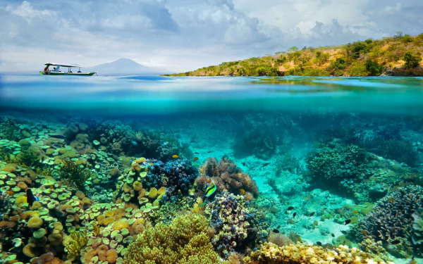 HD desktop wallpaper showcasing vibrant underwater coral reefs beneath a clear ocean surface with a boat and island in the background, highlighting nature's beauty.
