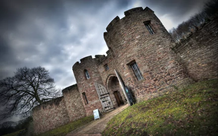 man made Beeston Castle HD Desktop Wallpaper | Background Image