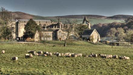 man made Bolton Priory HD Desktop Wallpaper | Background Image