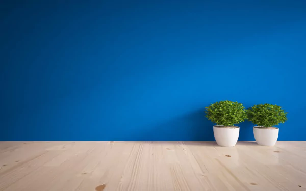 HD desktop wallpaper featuring two man-made potted plants with flowers against a vibrant blue wall and light wooden floor background.