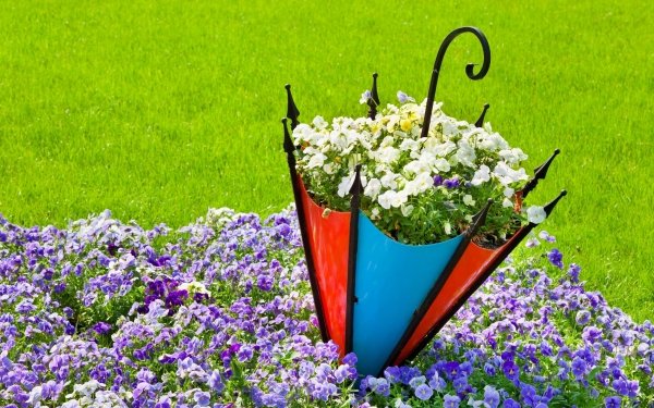 Earth Pansy Flowers Flower Umbrella HD Wallpaper | Background Image