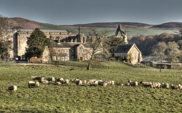 man made Bolton Priory HD Desktop Wallpaper | Background Image