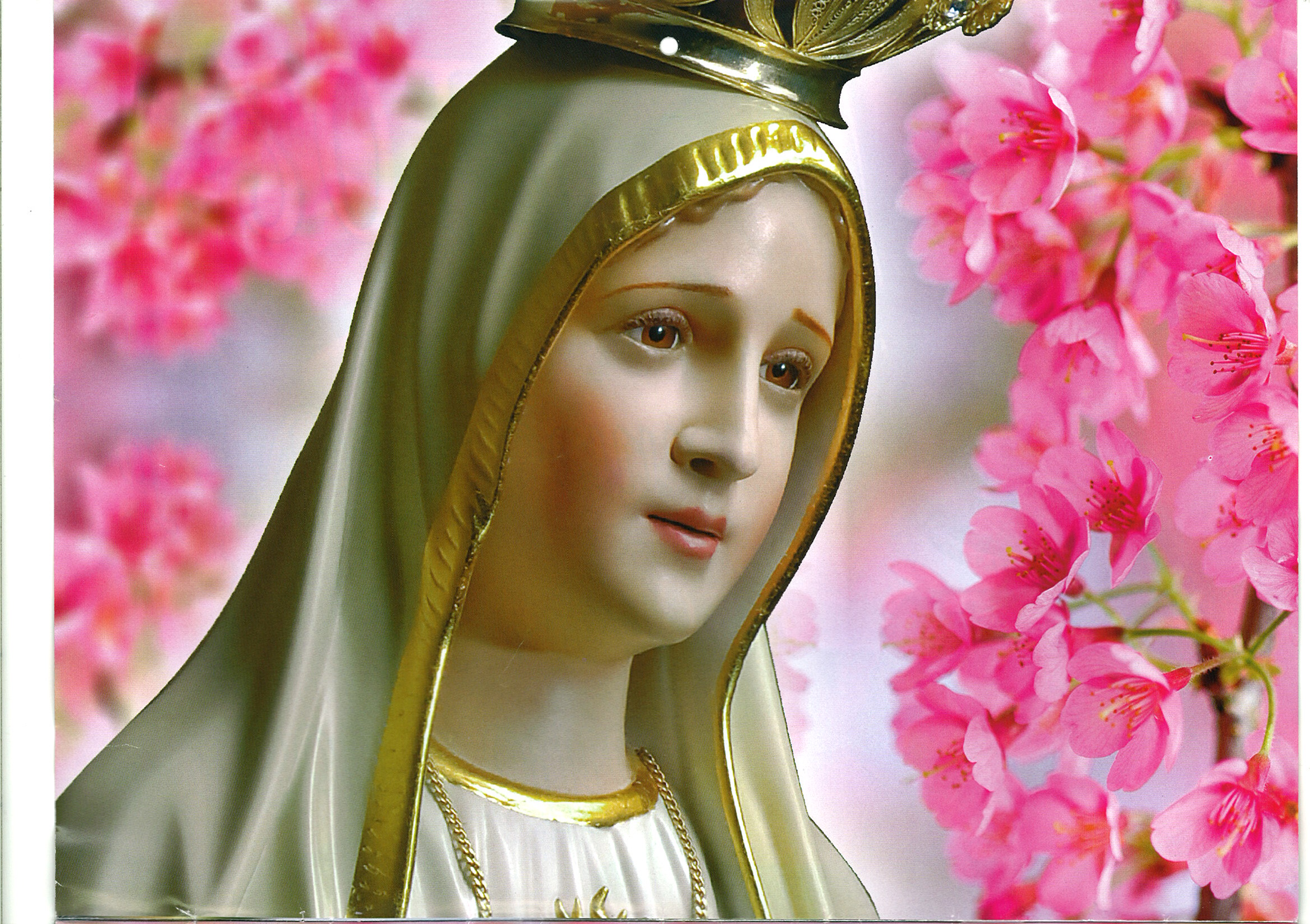 Resultado de imagem para nossa senhora de fatima papel de parede