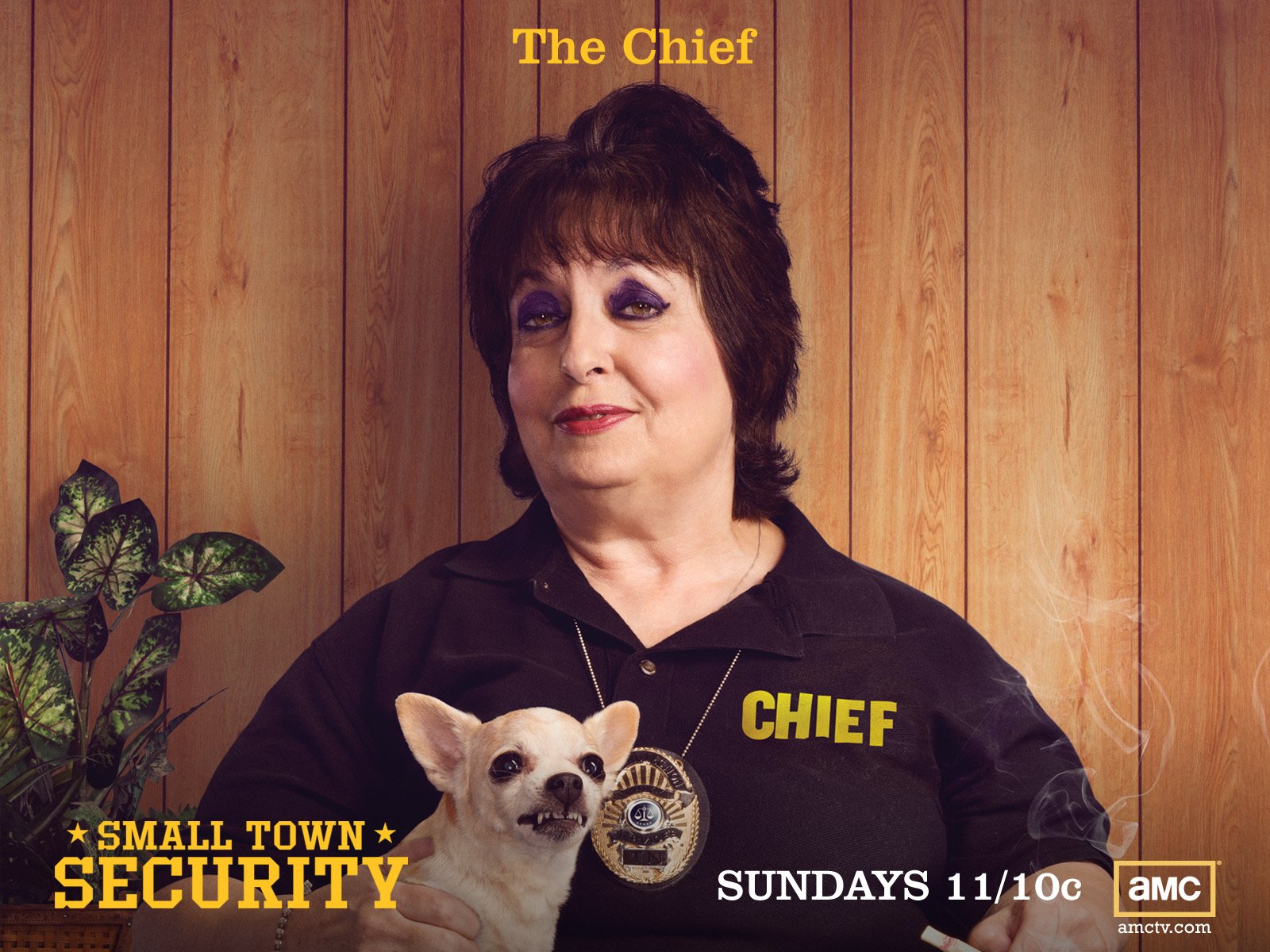 Download Dog Security TV Show Small Town Security Wallpaper