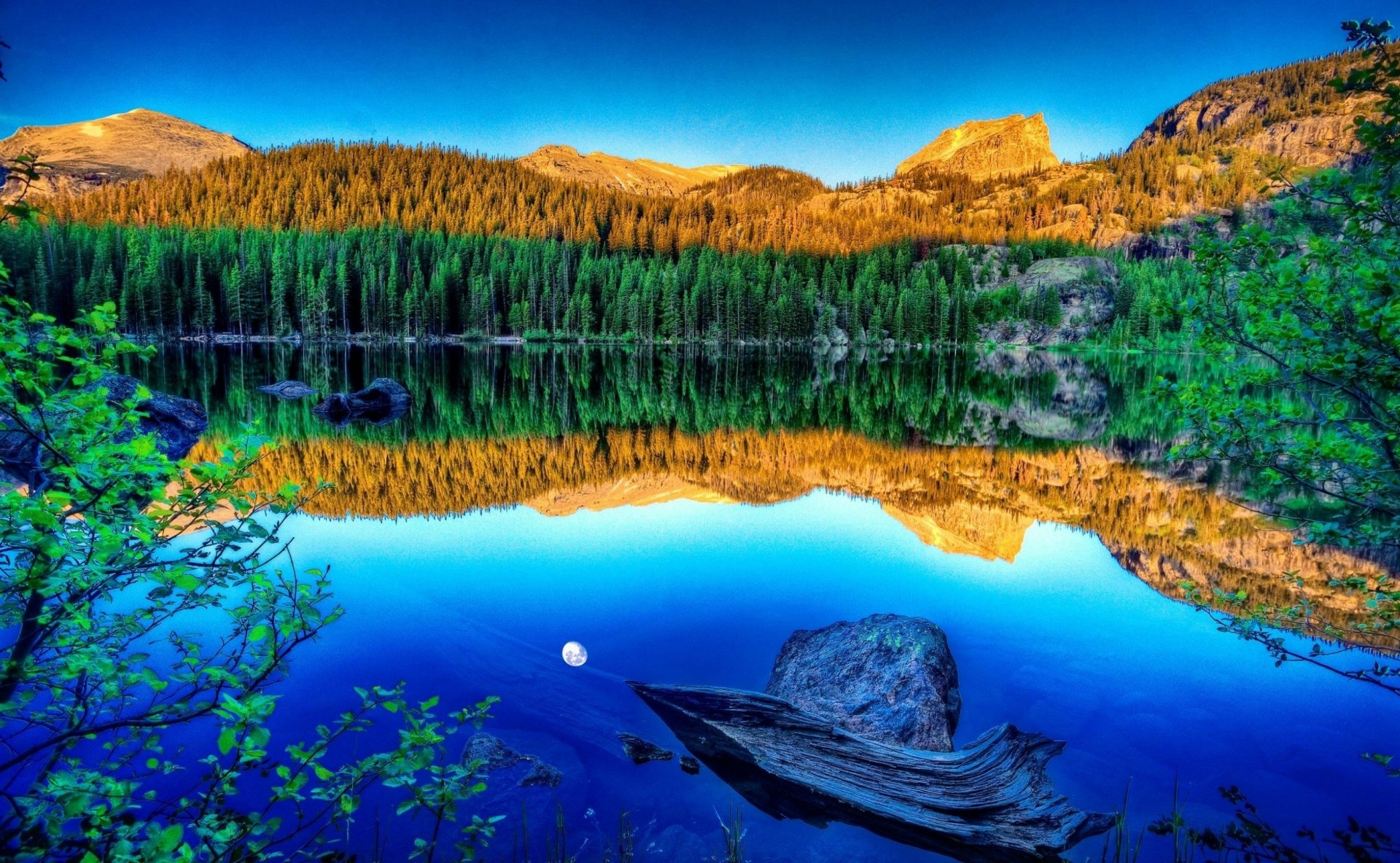 Download Moon Reflection Wood Nature Lake HD Wallpaper | 2611x1610 ...