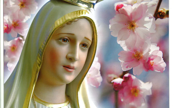 A serene depiction of Our Lady of Fátima surrounded by blooming cherry blossoms, capturing the essence of Mary, Mother of Jesus, in a vibrant HD wallpaper.