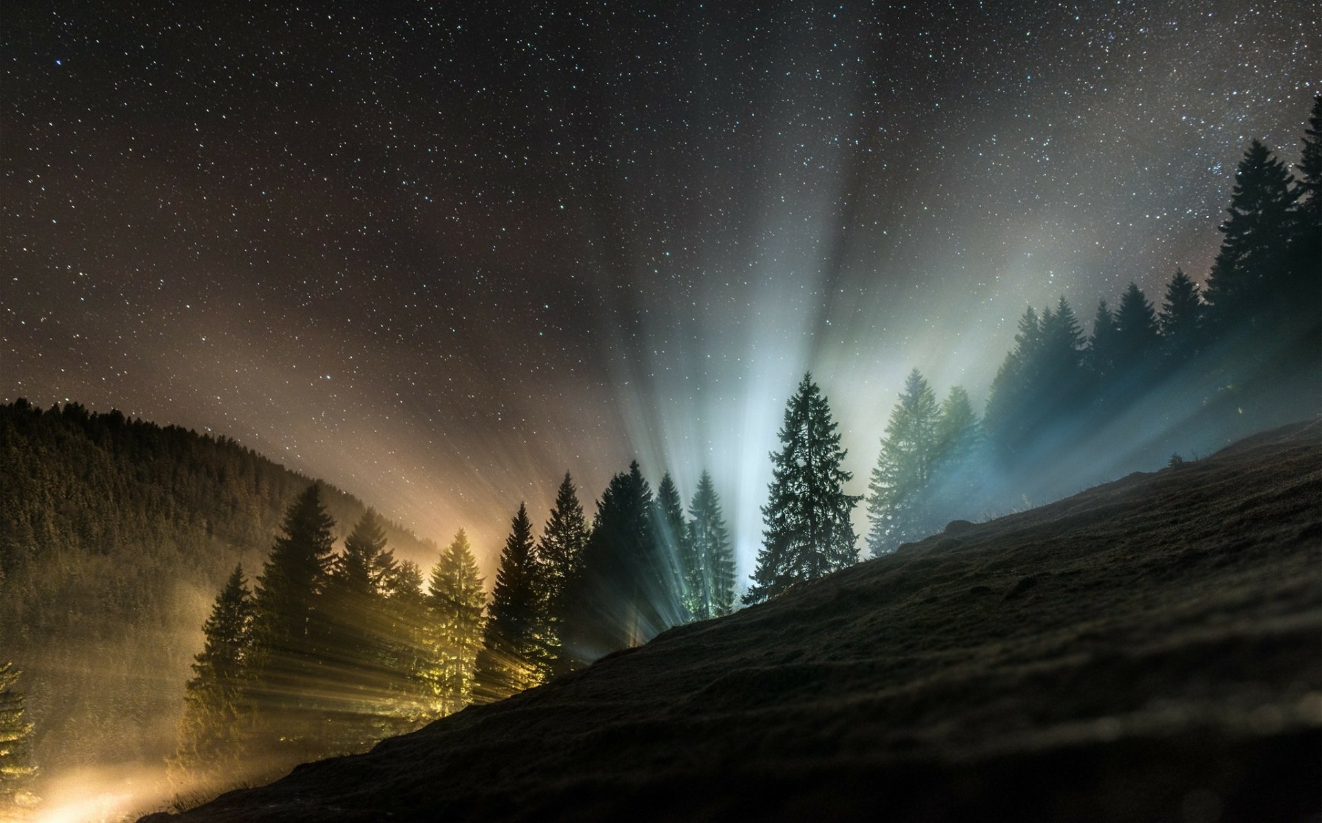 Starry sky illuminates a forest in the Swiss Alps, creating a mystical glow among the towering trees. HD wallpaper image showcasing Swiss nature at night.