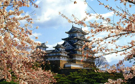 man made Himeji Castle HD Desktop Wallpaper | Background Image