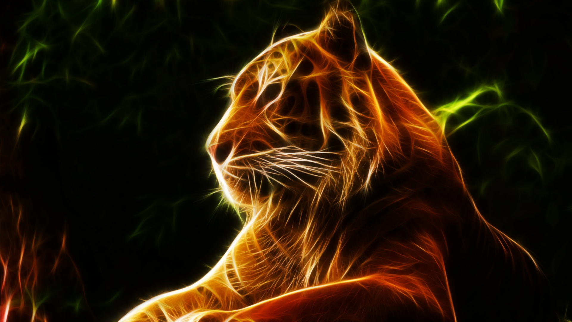 Download Animal Tiger HD Wallpaper