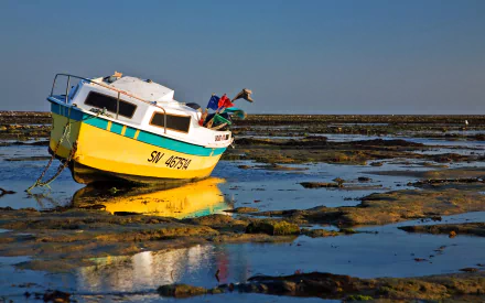 HD PC desktop wallpaper background: yellow boat vehicle stranded on a low-tide shoreline, shallow water pools reflecting hull under a clear blue sky.