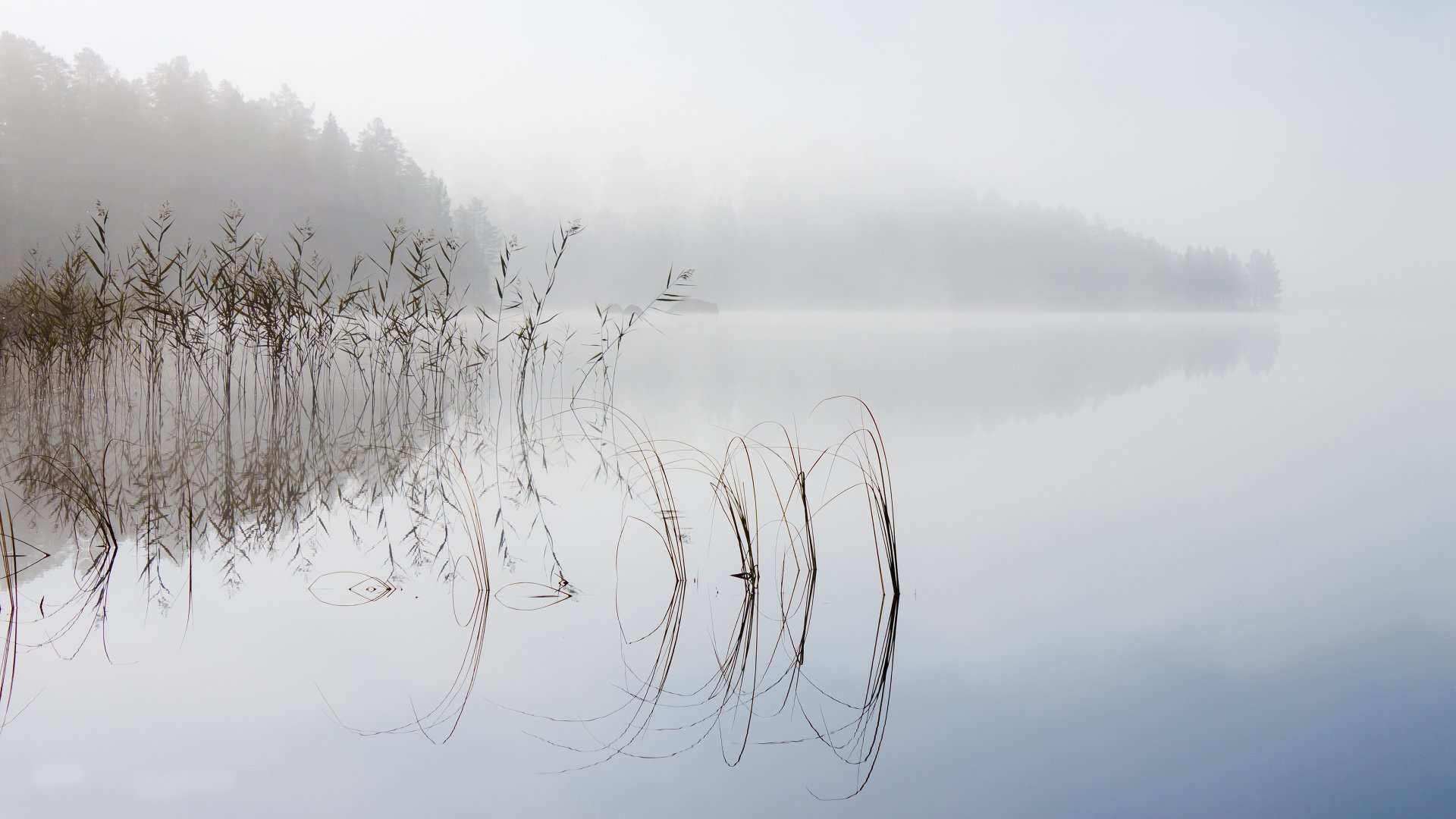 Serene Lake Reflections: A 4K Ultra HD Nature Wallpaper | 3840x2160 ...