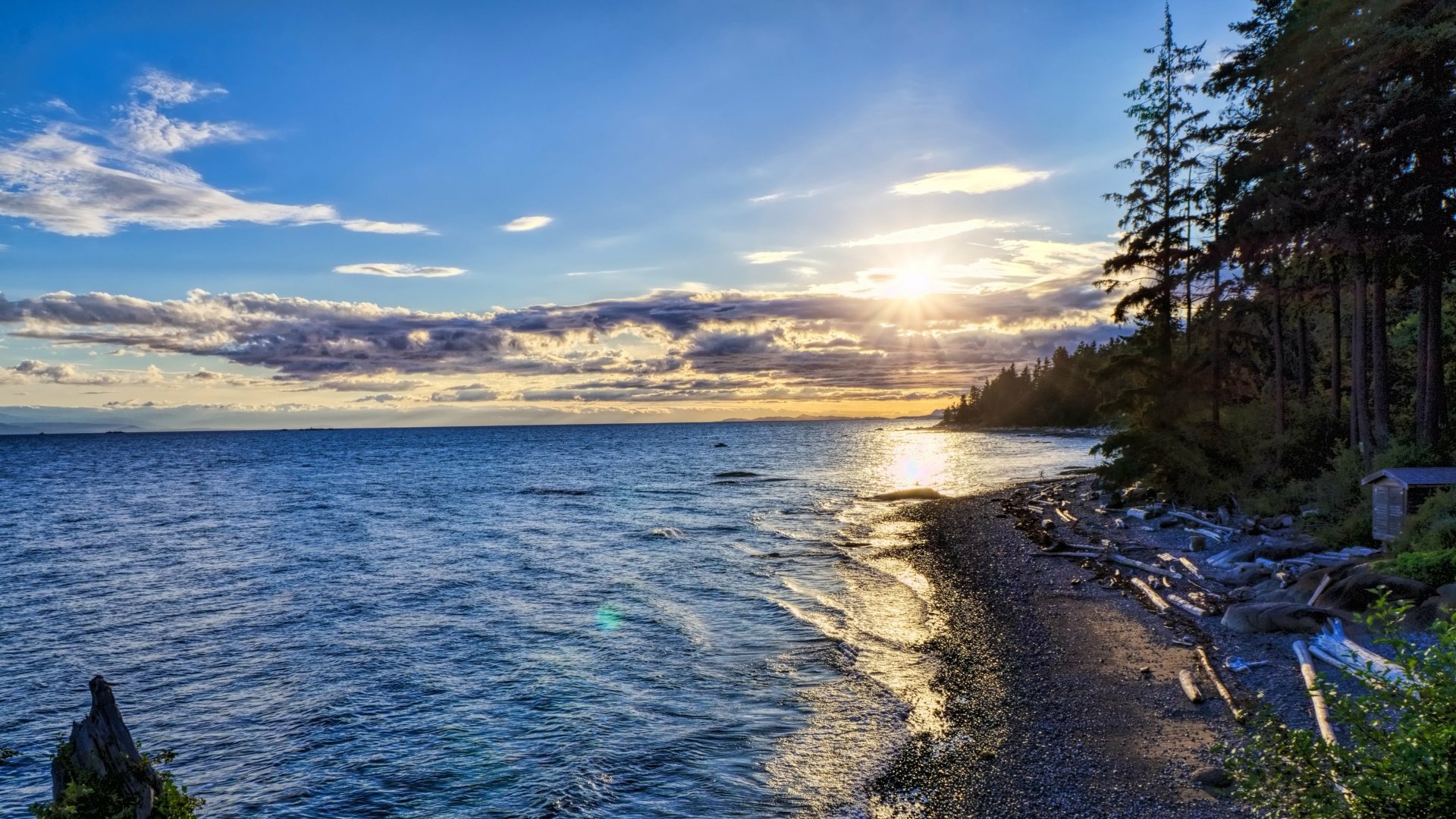 4K Ultra HD seascape featuring a serene shoreline with trees, gentle waves, and a vibrant sunset under a partly cloudy sky, captured as a nature desktop wallpaper.