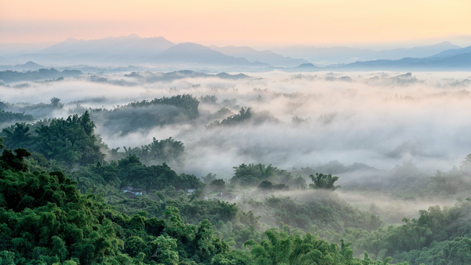 Download Nature Fog 4k Ultra HD Wallpaper