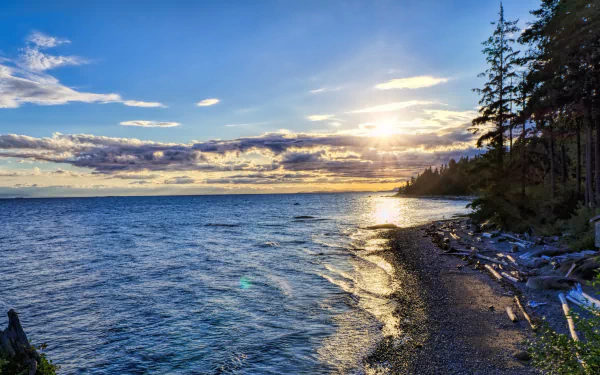 4K Ultra HD seascape featuring a serene shoreline with trees, gentle waves, and a vibrant sunset under a partly cloudy sky, captured as a nature desktop wallpaper.