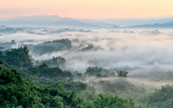 nature fog HD Desktop Wallpaper | Background Image