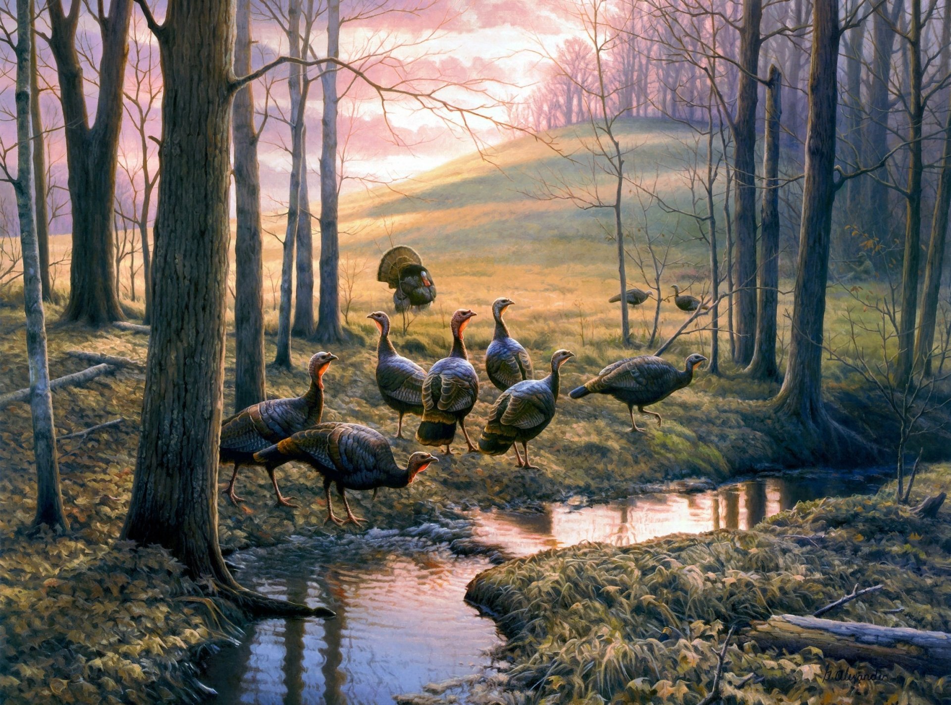 Artistic HD desktop wallpaper of wild turkeys in a woodland, animals gathered by a sunlit stream with trees and reflections.