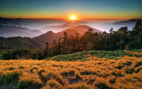 A stunning sunset illuminates the fog-covered mountains of Taroko National Park in Taiwan, with sunbeams breaking through the lush forest landscape. A captivating natural scene.