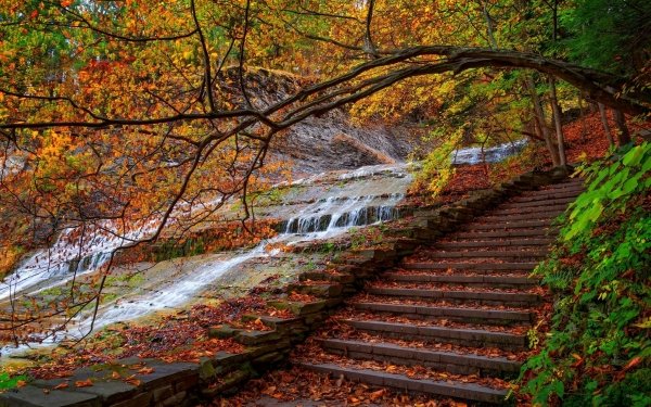 Photography Fall Stairs Stream Branch HD Wallpaper | Background Image