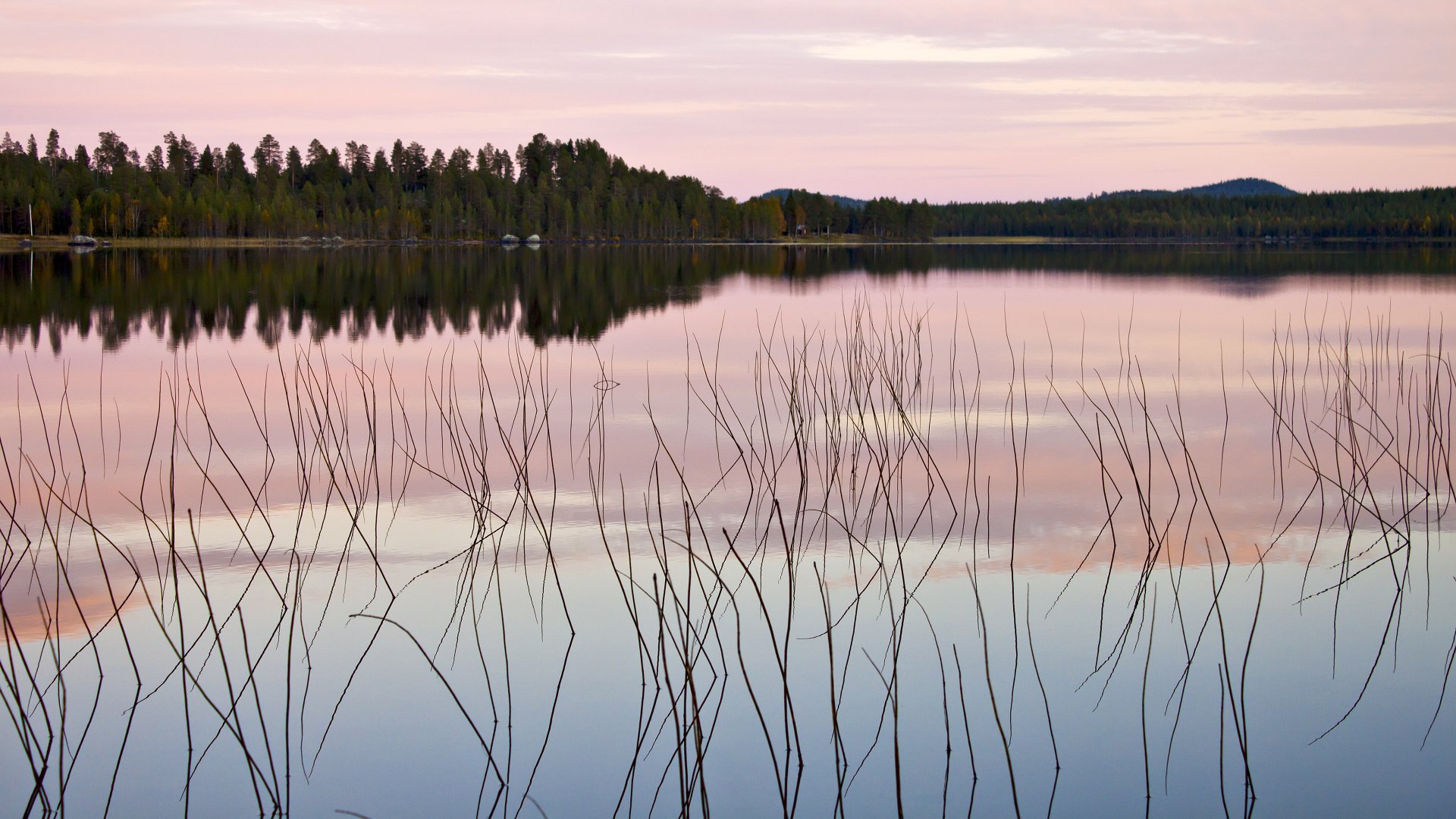 Download Nature Reflection 4k Ultra HD Wallpaper