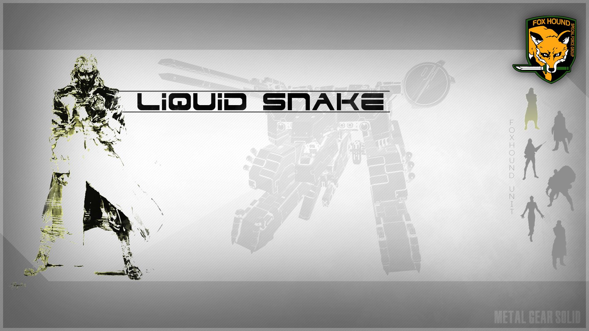 Liquid Snake by Yoji Shinkawa