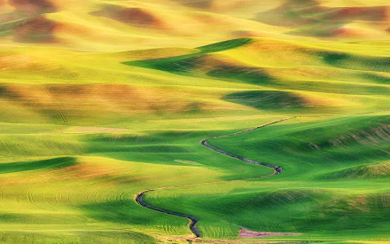 HD photography of rolling green and golden hills in Tuscany, Italy, with a winding path — PC desktop wallpaper background.