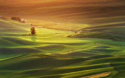 HD PC desktop wallpaper and background: aerial photography of rolling green Tuscany hills in Italy at golden hour, winding tracks and a farmhouse casting long shadows.