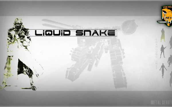  Liquid Snake by Yoji Shinkawa