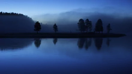 A serene nature scene with silhouetted trees reflected on calm water, captured in stunning 4K Ultra HD for a vivid PC desktop wallpaper background.