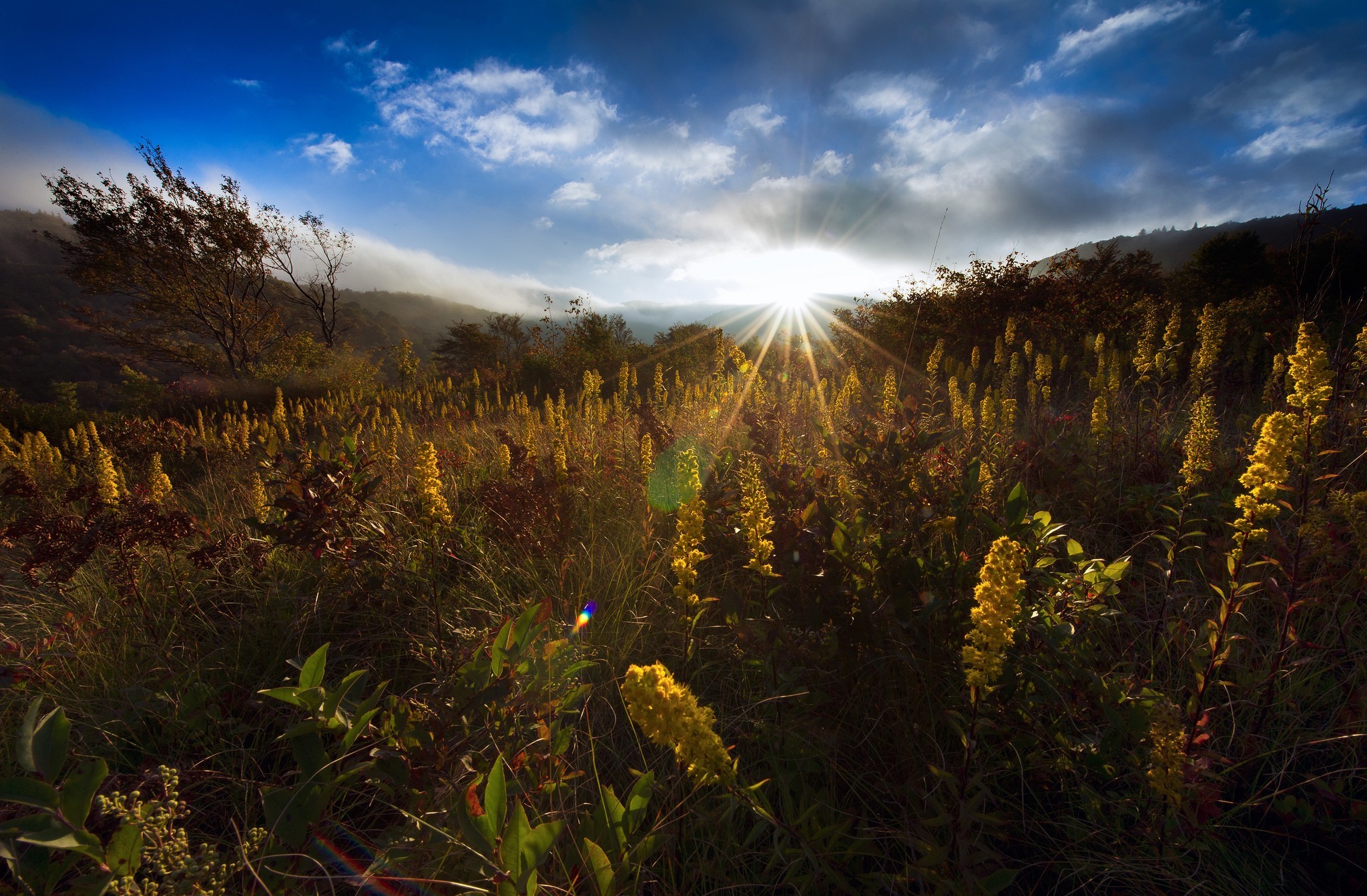 Download Sky Sunbeam Valley Nature Sunrise HD Wallpaper