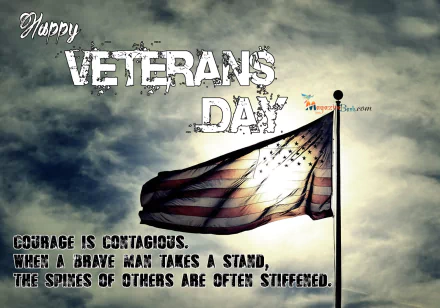 Holiday Veterans Day HD PC desktop wallpaper and background: American flag waves against a dramatic cloudy sky with Happy Veterans Day text and the quote Courage is contagious.